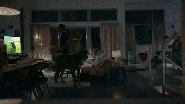 Nintendo-Switch-mobility